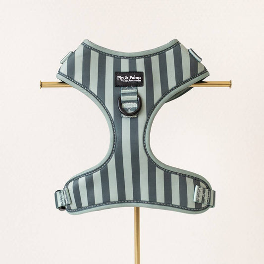 Harnas Stripy Stripes – Leiband van Pip and Palms | Hondenboetiek