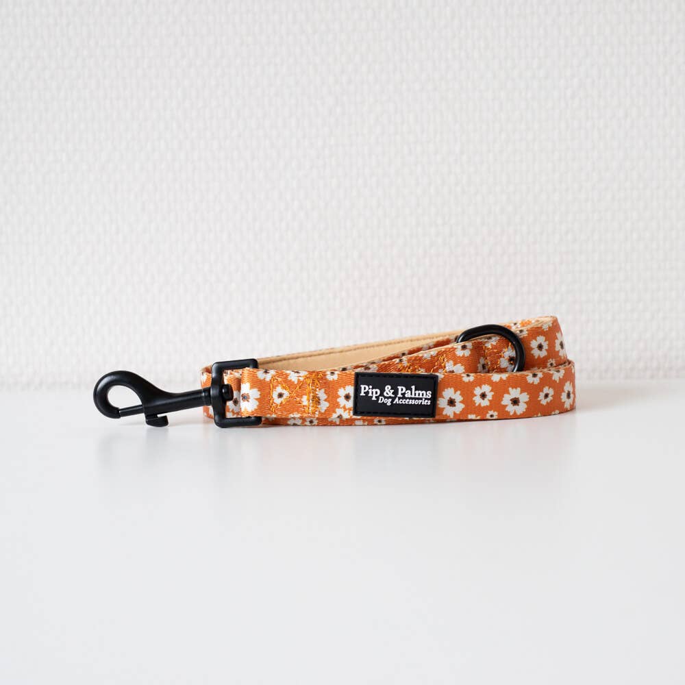 Leiband Ditzy Daisy – Leiband van Pip and Palms | Hondenboetiek