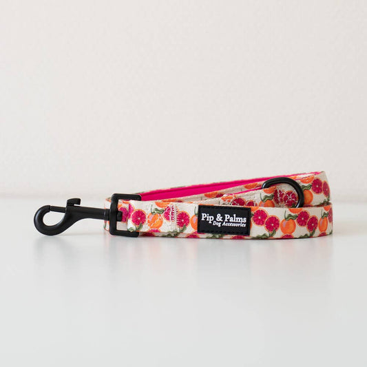 Leiband Tutti Frutti – Leiband van Pip and Palms | Hondenboetiek