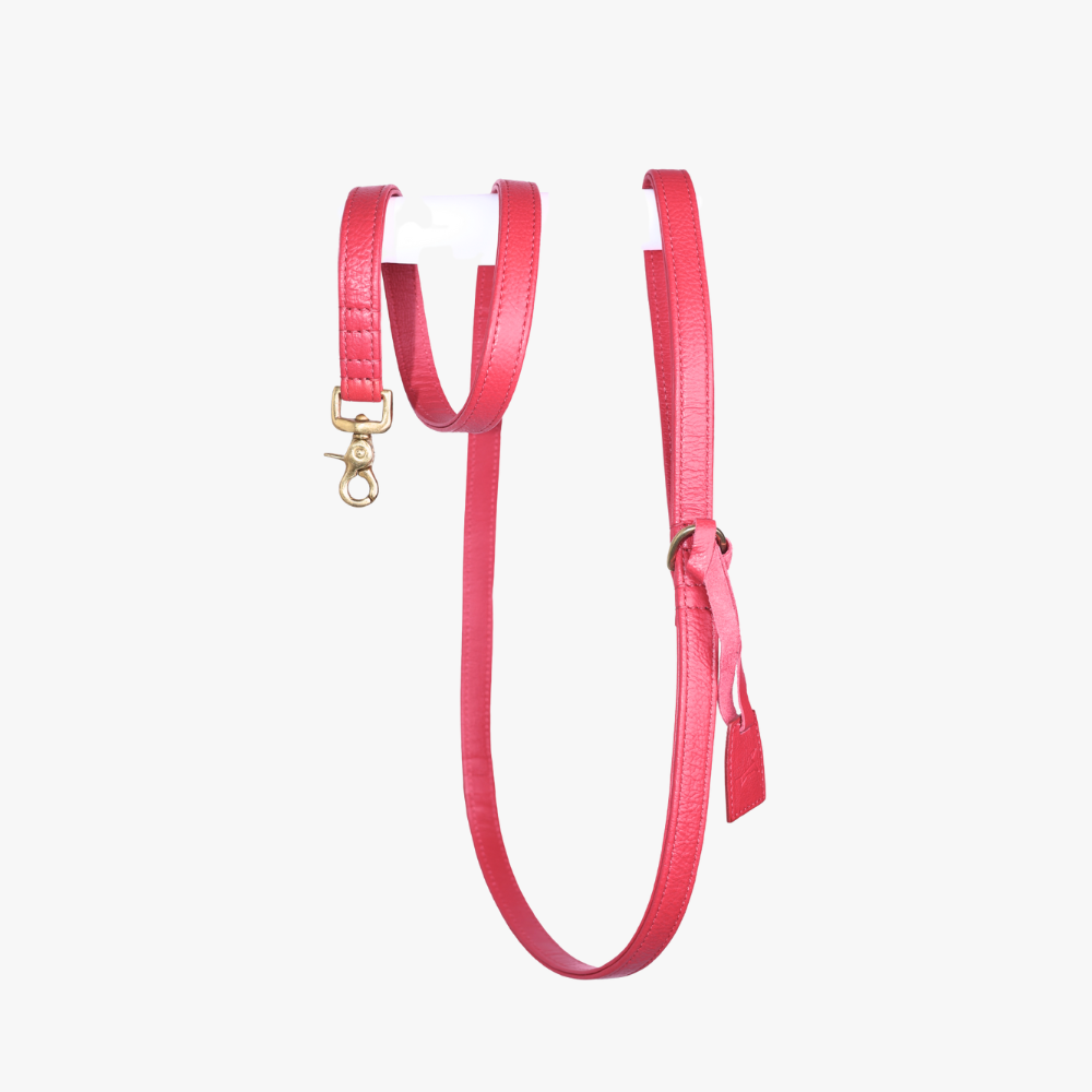 Leren Leiband - Koninklijk Rood – Leiband van The Dog Musthaves | Hondenboetiek