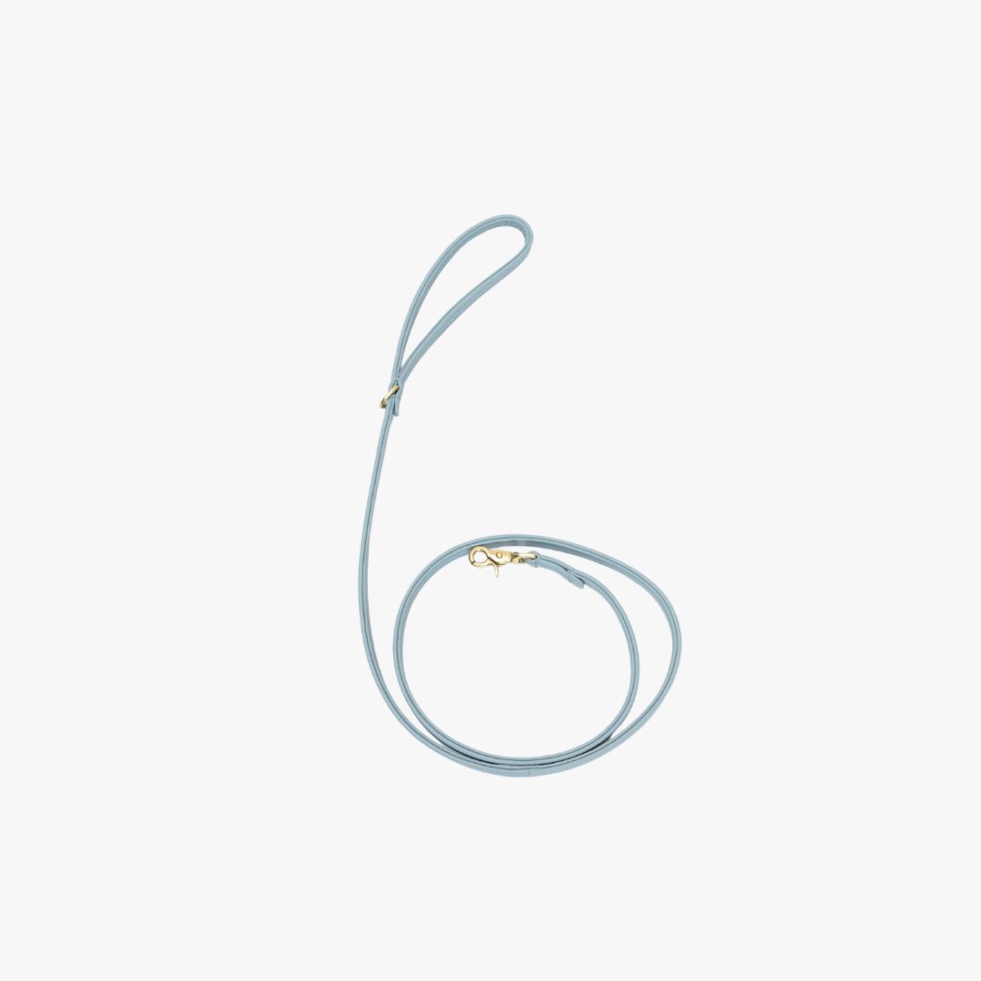 Leren leiband - Lichtblauw – Leiband van The Dog Musthaves | Hondenboetiek (afbeelding 2)
