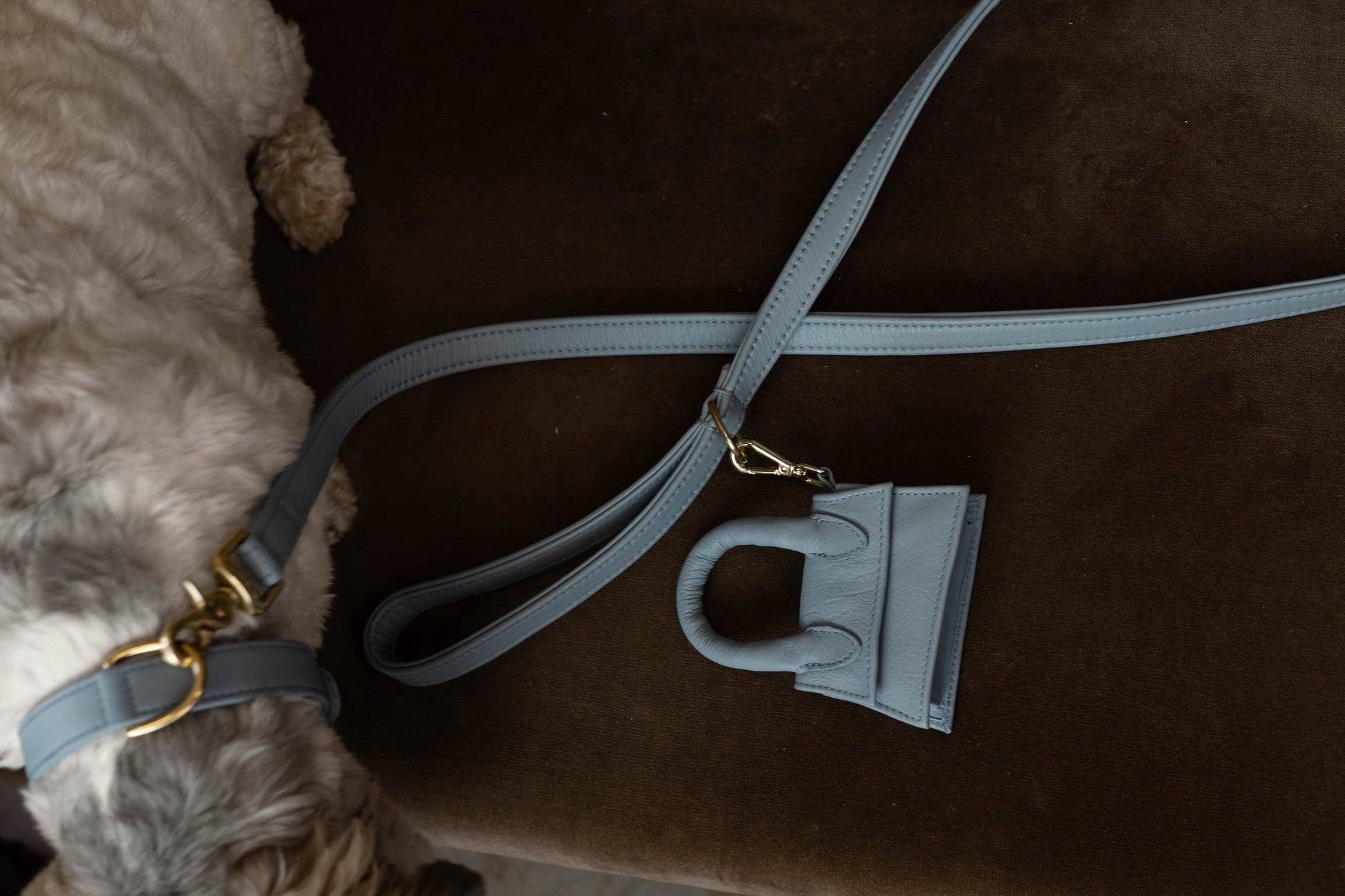 Leren leiband - Lichtblauw – Leiband van The Dog Musthaves | Hondenboetiek (afbeelding 3)
