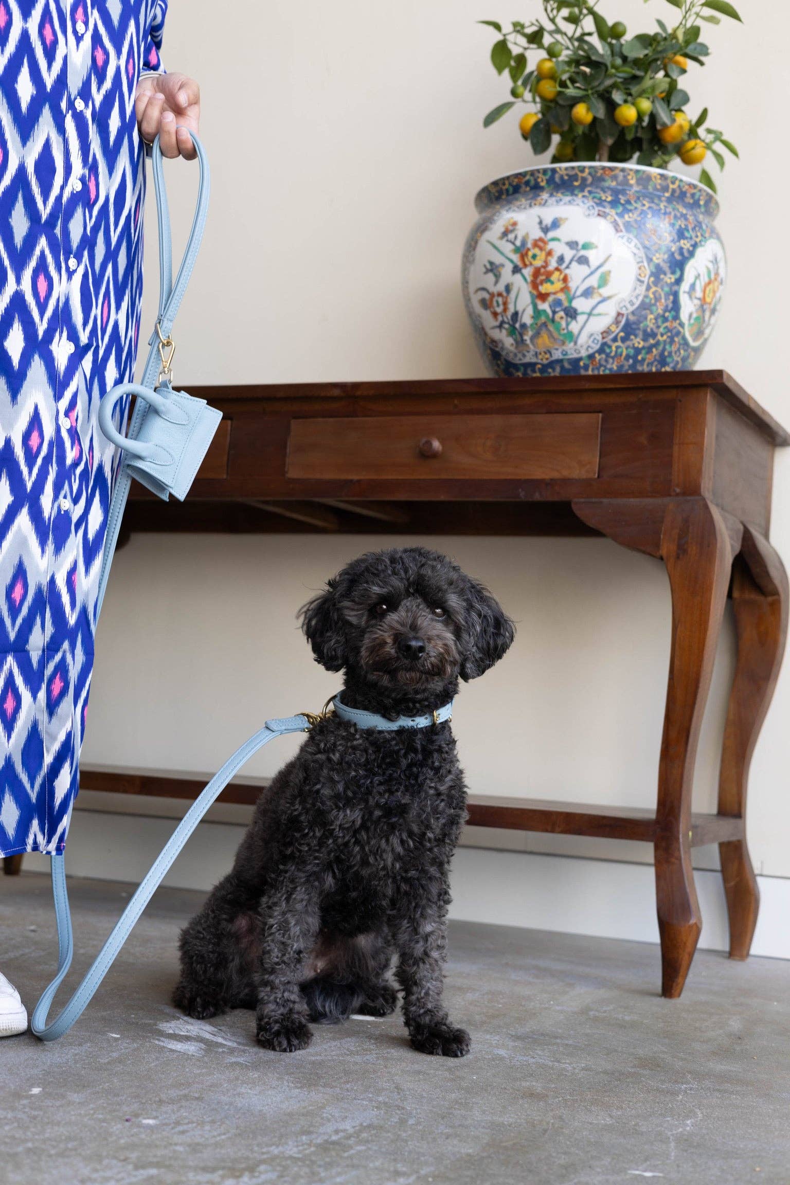 Leren leiband - Lichtblauw – Leiband van The Dog Musthaves | Hondenboetiek (afbeelding 4)