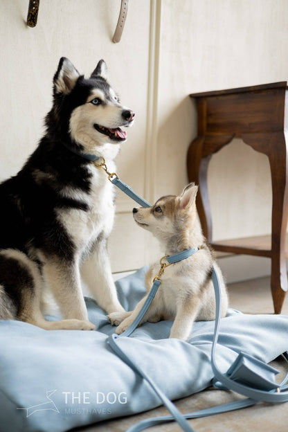 Leren leiband - Lichtblauw – Leiband van The Dog Musthaves | Hondenboetiek (afbeelding 5)