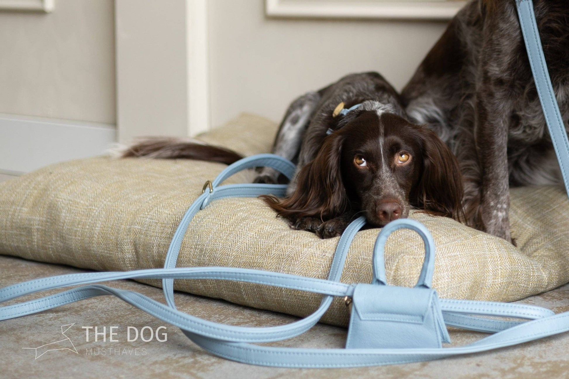 Leren leiband - Lichtblauw – Leiband van The Dog Musthaves | Hondenboetiek (afbeelding 8)