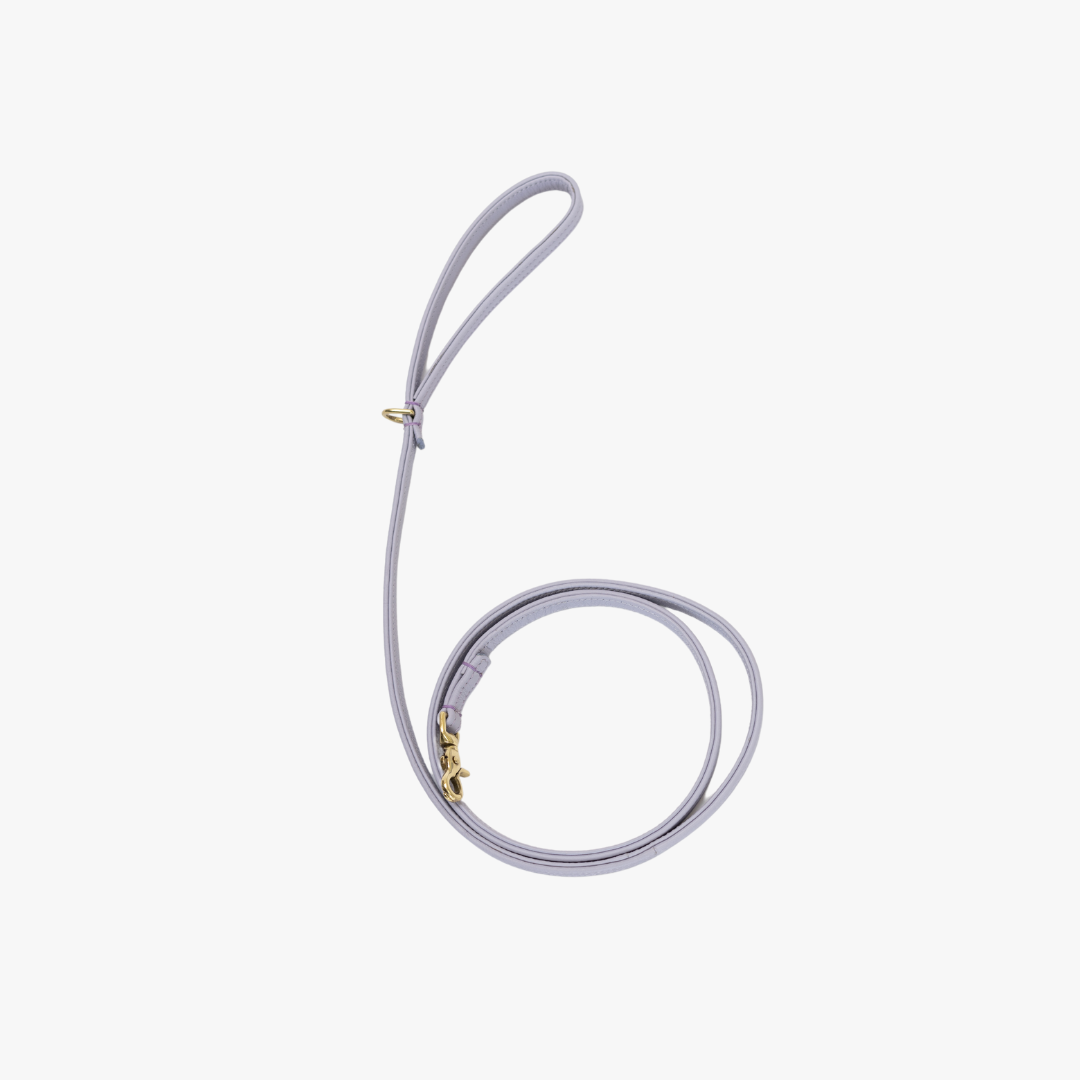 Leren Leiband Lila Paars – Leiband van The Dog Musthaves | Hondenboetiek (afbeelding 2)