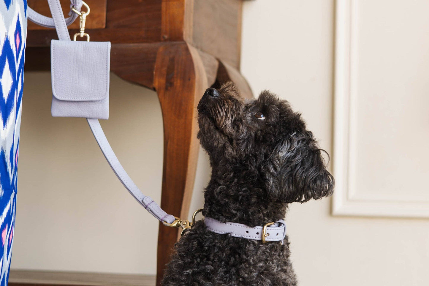 Leren Leiband Lila Paars – Leiband van The Dog Musthaves | Hondenboetiek (afbeelding 4)