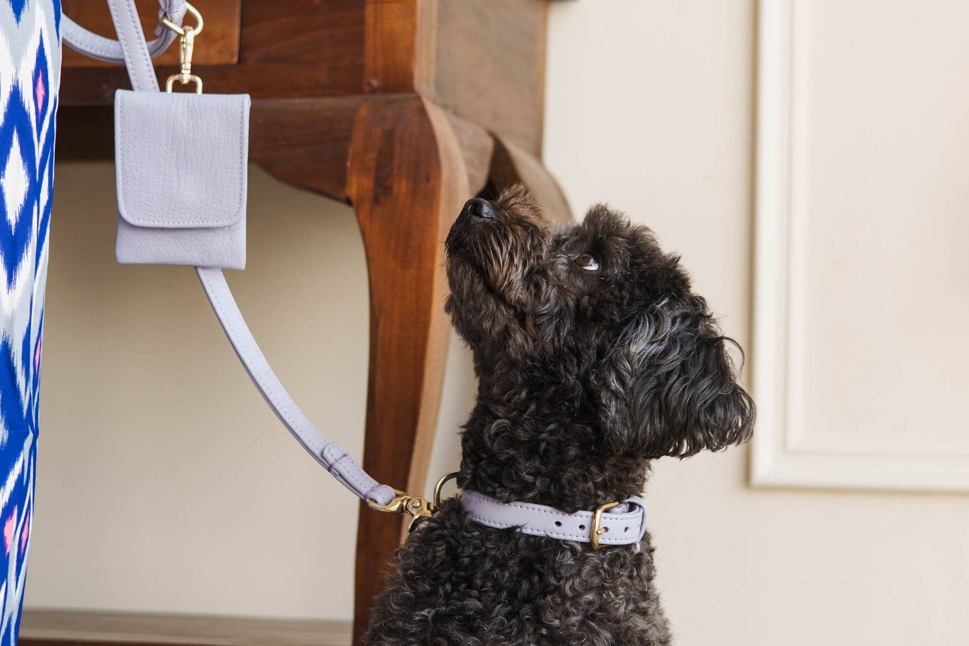 Leren Leiband Lila Paars – Leiband van The Dog Musthaves | Hondenboetiek (afbeelding 4)