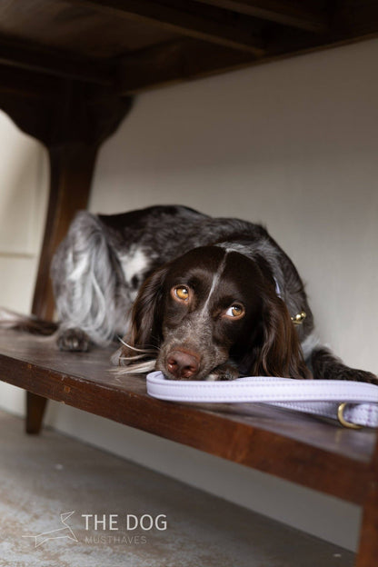 Leren Leiband Lila Paars – Leiband van The Dog Musthaves | Hondenboetiek (afbeelding 8)