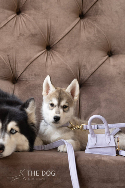Leren Leiband Lila Paars – Leiband van The Dog Musthaves | Hondenboetiek (afbeelding 9)
